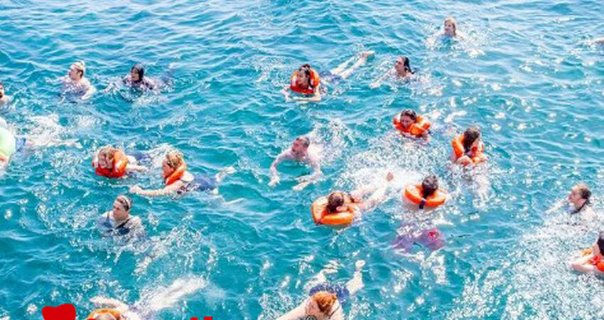 Bursa Çıkışlı Günübirlik Ayvalık Tekne Turu (3 Koyda Yüzme Molası)