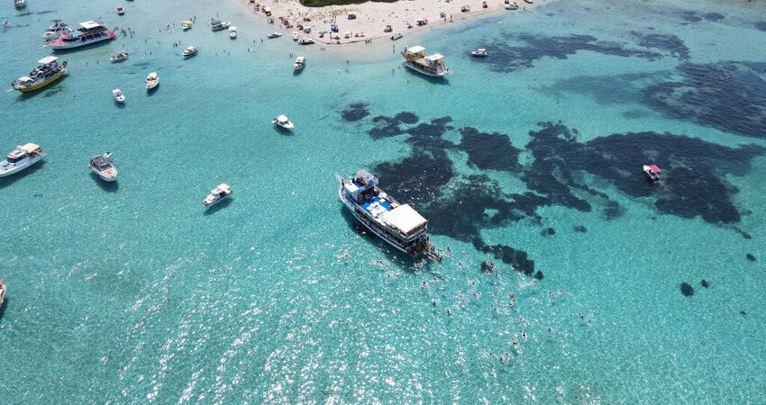 Bursa Çıkışlı Günübirlik Dikili Tekne Turu 