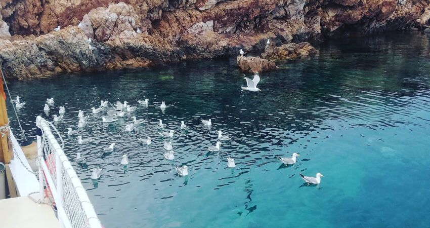 Bursa Çıkışlı Günübirlik Ayvalık Tekne Turu (3 Koyda Yüzme Molası)