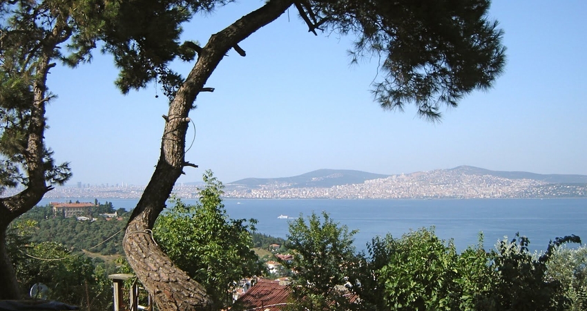 Bursa Çıkışlı Günübirlik İstanbul Adalar Turu